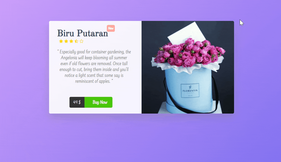 Product Card Hover Effect