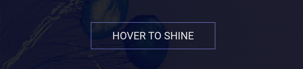 CSS Shiny Button with Hover Effect