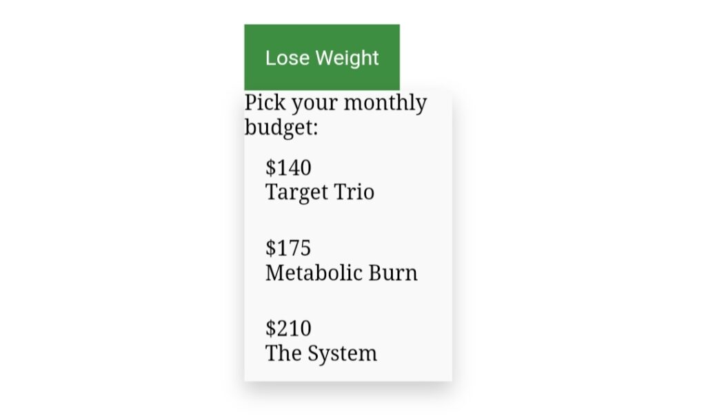 dropdown selection html css
