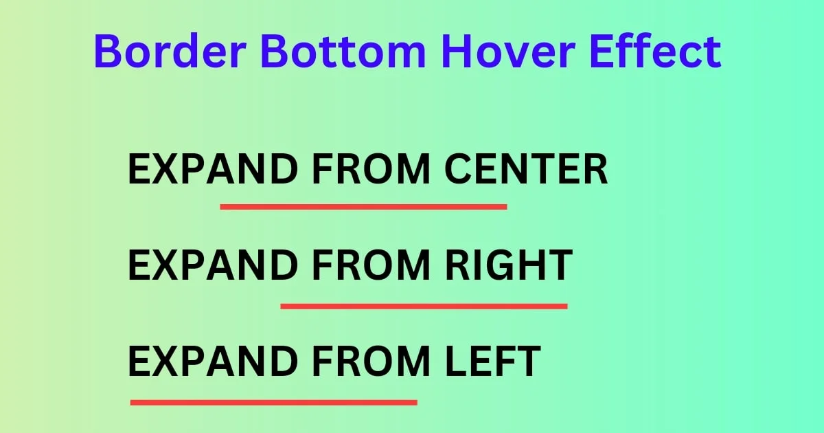 Border Bottom Hover effect css